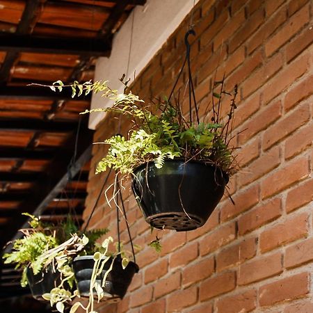 Casa Ka'A Hostel Убатуба Екстериор снимка